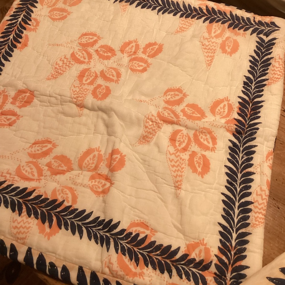 Anthropologie Euro sham set of 3